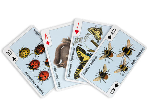 Pihapiirin pikkueläimiä  pelikortit